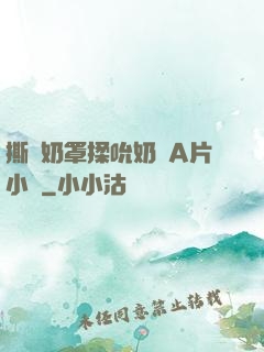 撕開奶罩揉吮奶頭A片小說