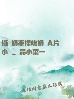 撕開奶罩揉吮奶頭A片小說