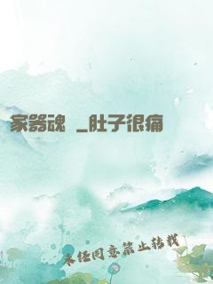 敗家器魂師