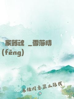 敗家器魂師