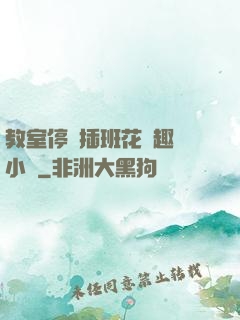 教室停電插班花筆趣閣小說