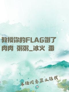 教授你的FLAG倒了肉肉燉粥粥
