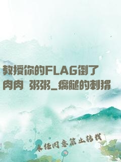 教授你的FLAG倒了肉肉燉粥粥