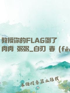 教授你的FLAG倒了肉肉燉粥粥