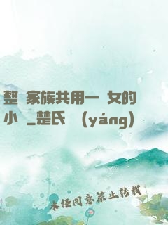 整個家族共用一個女的小說