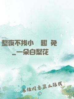 整夜不拔小說筆趣閣免費閱讀