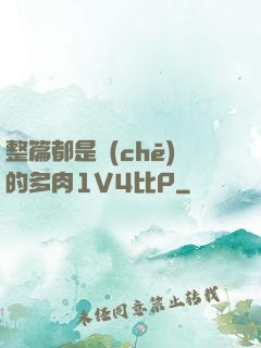 整篇都是車(chē)的多肉1V4比P
