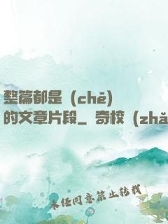 整篇都是車(chē)的文章片段