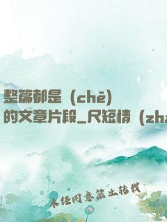 整篇都是車(chē)的文章片段