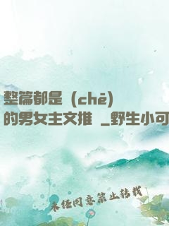 整篇都是車(chē)的男女主文推薦