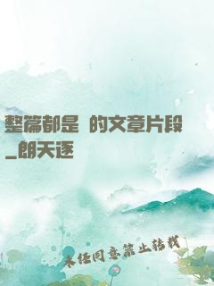 整篇都是車的文章片段