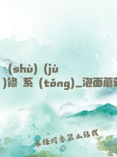 數(shù)據(jù)修煉系統(tǒng)