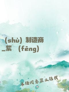數(shù)碼制造商
