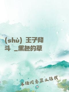 數(shù)碼王子降臨斗羅