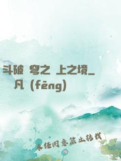 斗破蒼穹之無上之境