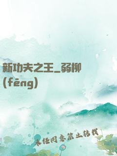 新功夫之王