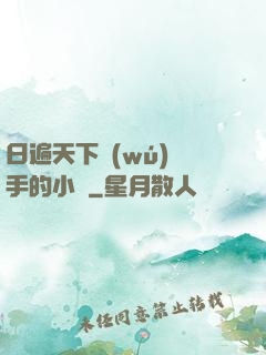 日遍天下無(wú)敵手的小說