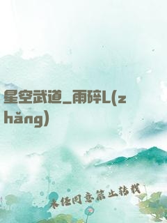 星空武道