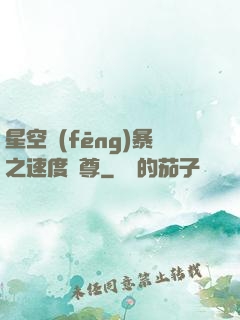 星空風(fēng)暴之速度為尊