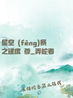 星空風(fēng)暴之速度為尊