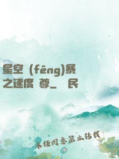 星空風(fēng)暴之速度為尊