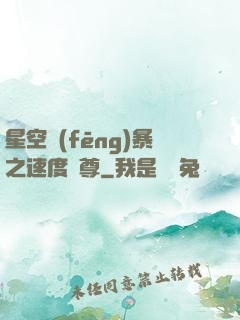 星空風(fēng)暴之速度為尊
