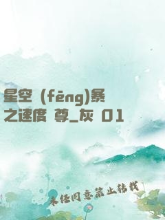星空風(fēng)暴之速度為尊