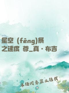 星空風(fēng)暴之速度為尊