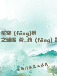 星空風(fēng)暴之速度為尊