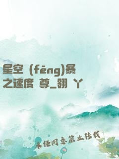 星空風(fēng)暴之速度為尊