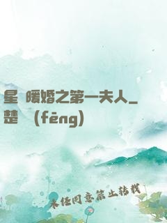 星際暖婚之第一夫人