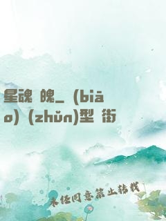 星魂劍魄