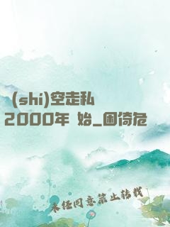 時(shí)空走私從2000年開始