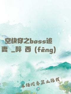 時空快穿之boss追妻記