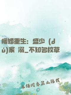 暖婚重生：盛少獨(dú)家寵溺
