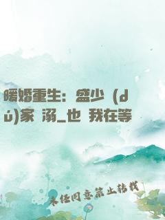 暖婚重生：盛少獨(dú)家寵溺