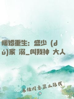 暖婚重生：盛少獨(dú)家寵溺