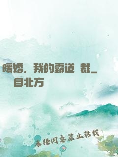 暖婚，我的霸道總裁
