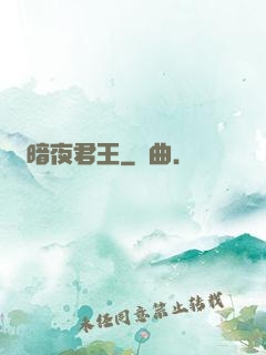暗夜君王