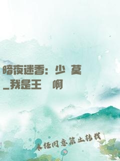 暗夜迷香：少帥莫貪歡