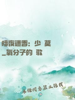 暗夜迷香：少帥莫貪歡