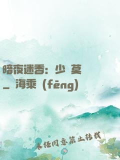 暗夜迷香：少帥莫貪歡