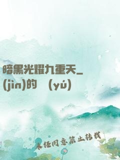 暗黑光耀九重天