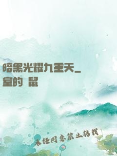 暗黑光耀九重天
