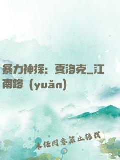 暴力神探：夏洛克