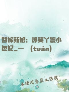 替嫁新娘：爆笑丫鬟小色妃