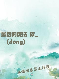 最后的魔法貴族