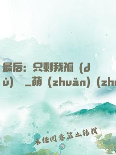 最后：只剩我孤獨(dú)離場