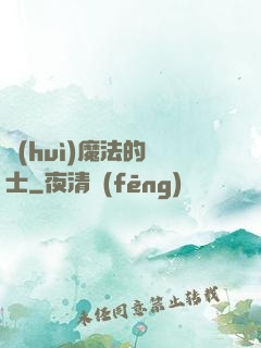 會(huì)魔法的騎士