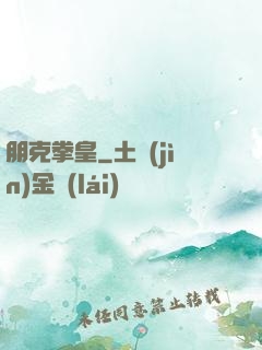 朋克拳皇